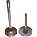 1996 Chevrolet Caprice Intake Valve DNJ 1996 Chevrolet Caprice Intake Valve DNJ