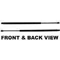 2007 Buick Terraza Lift Support Garage-Pro 2007 Buick Terraza Lift Support Garage-Pro
