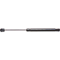 2007 Ford Freestyle Lift Support Rhinopac 2007 Ford Freestyle Lift Support Rhinopac