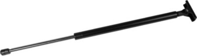UPC 048598503817 product image for 2001 Jeep Cherokee Lift Support | upcitemdb.com
